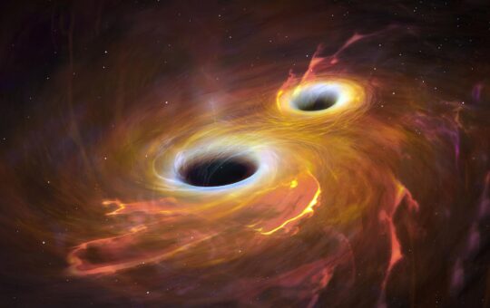 Missing Seeds: Mysterious Enigma of Supermassive Black Holes